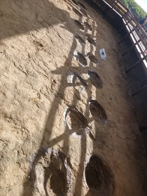 Rastro de huellas fosilizadas de dinosaurio saurópodo en arenisca, Ruta de los Dinosaurios, Tacuarembó