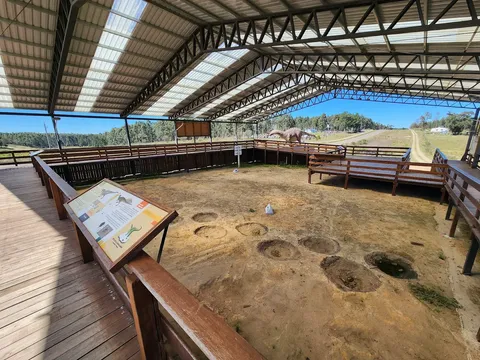 Pasarelas de madera elevadas sobre las huellas fosilizadas, sitio techado de la Ruta de los Dinosaurios
