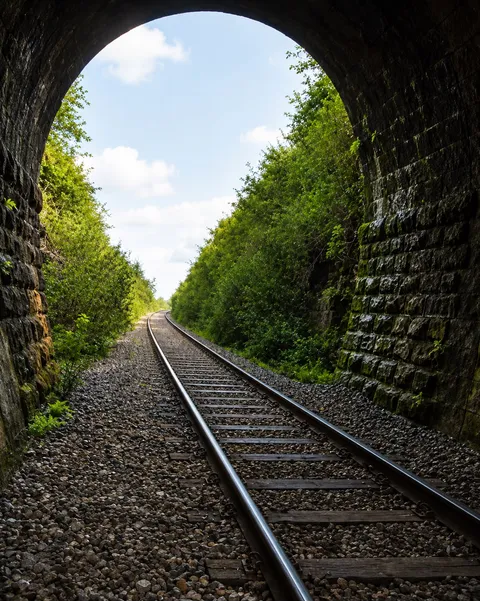 Interior del túnel de Bañado de Rocha, mirando hacia la salida entre la vegetación